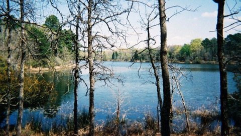 Gated Waterfront Building Lot