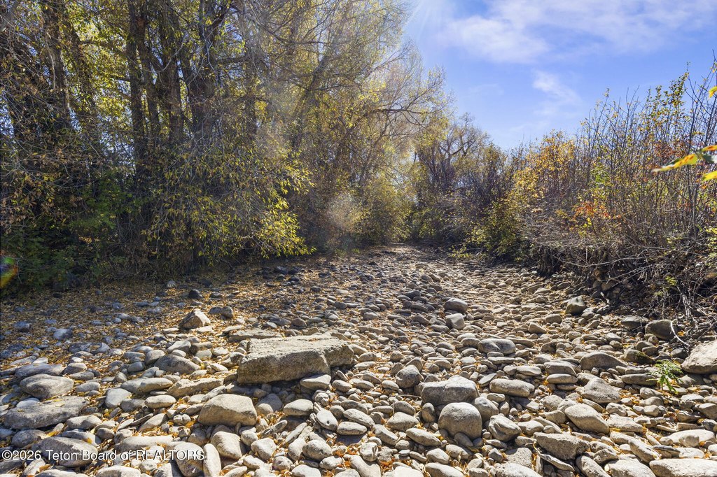 Picture 41