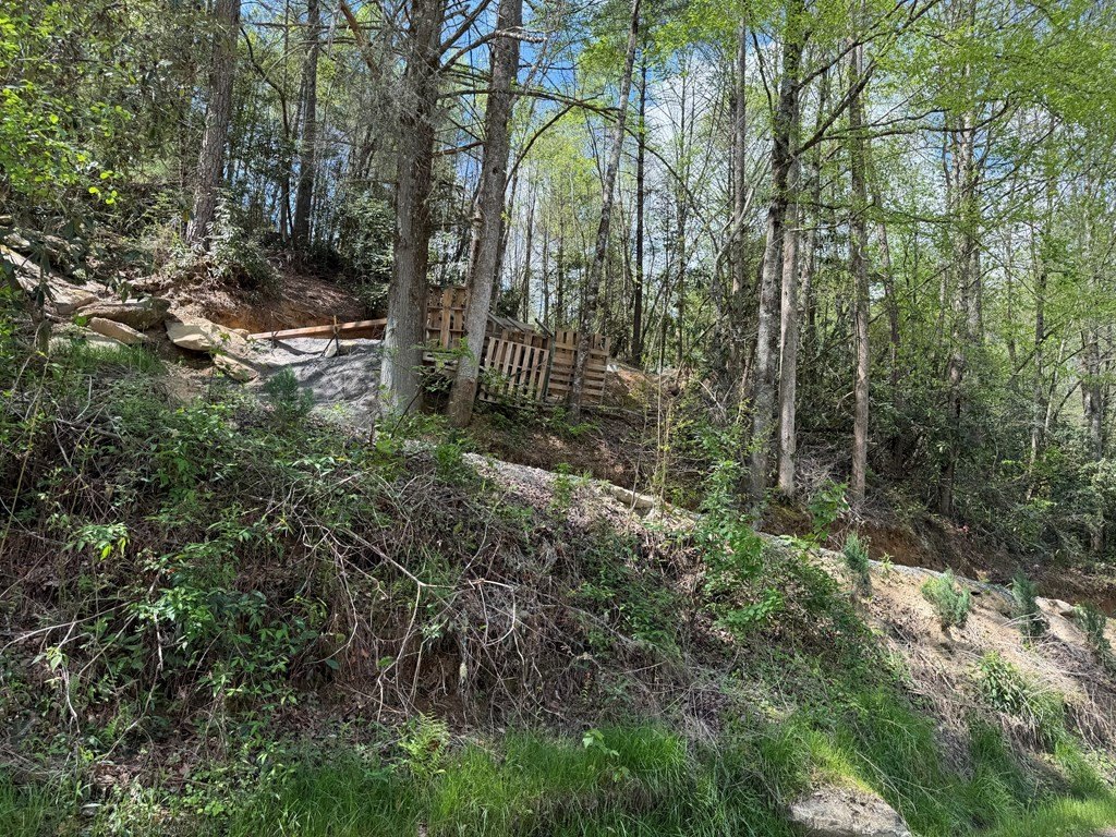 Picture 3
