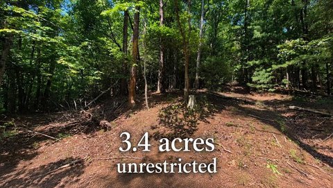 LAND - Ellijay, GA