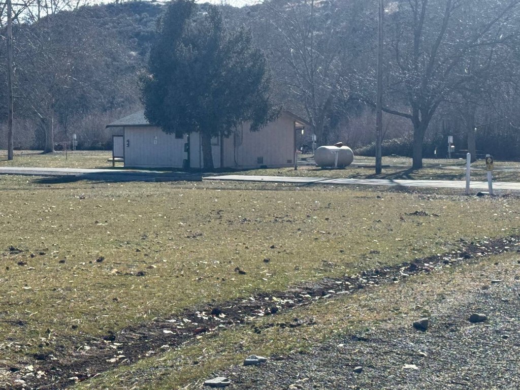 Picture 11
