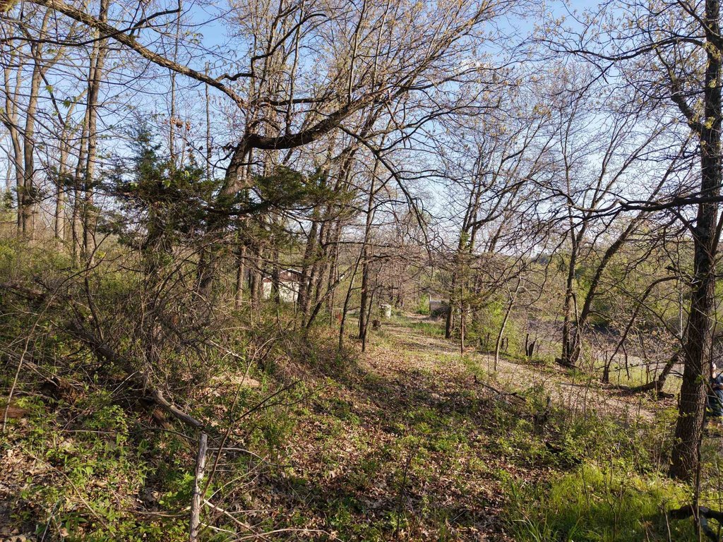 Picture 9