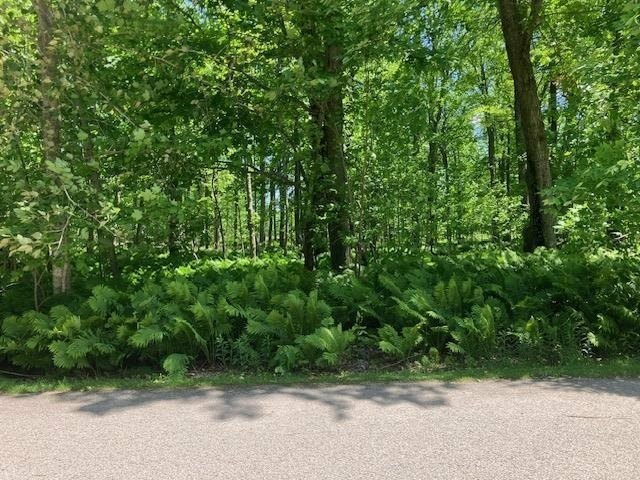 Wooded Land Near Crooked Lake