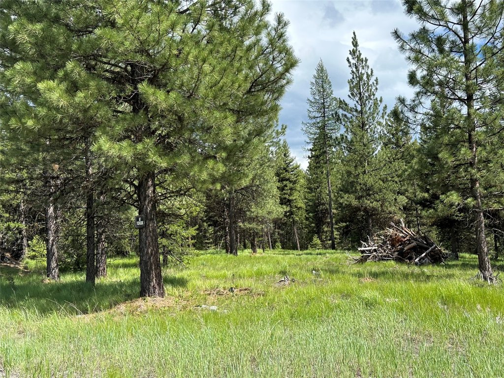 Picture 8