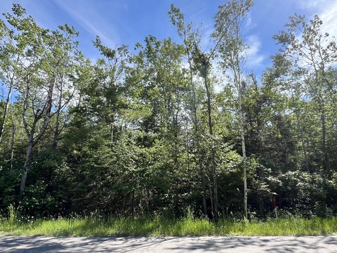 Wooded Residential Double Lot