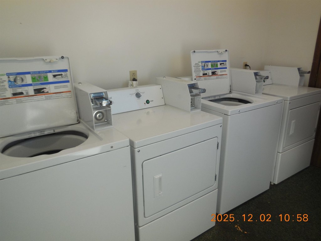 Picture 10
