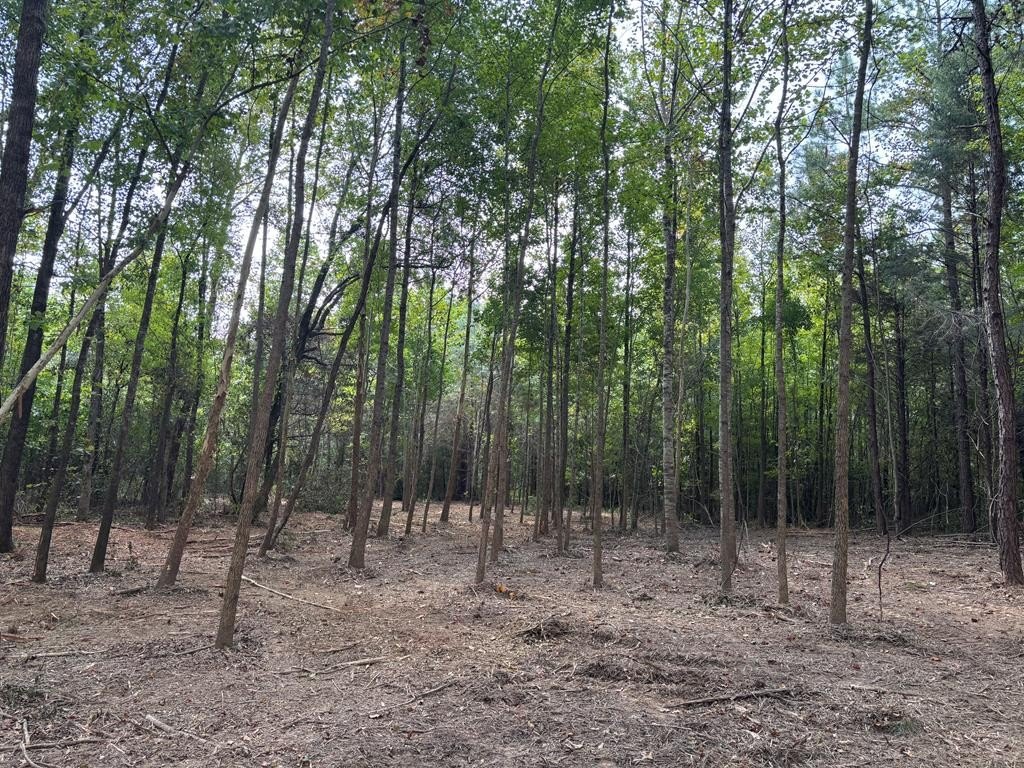 Land in Thaxton, Mississippi