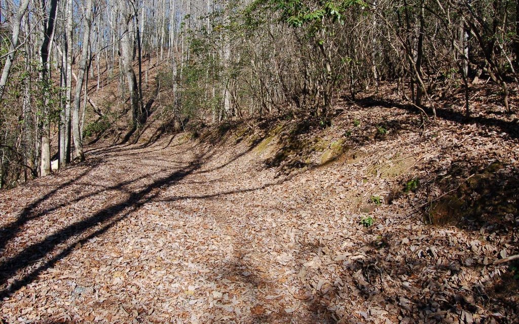 Picture 6