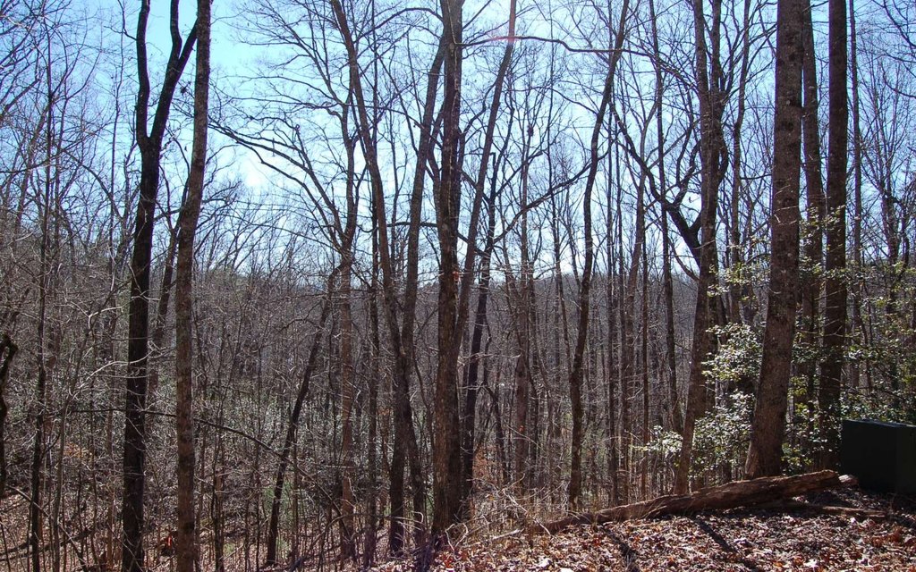 Picture 10