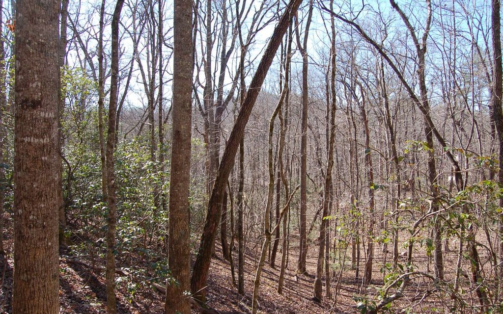 Picture 17