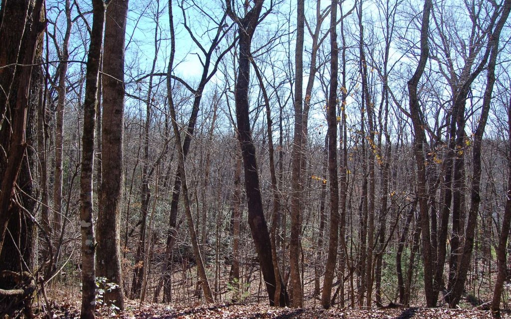 Picture 9