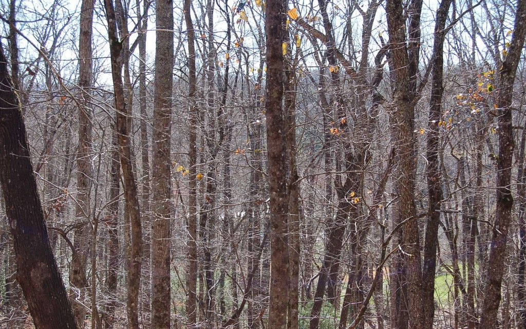 Picture 16