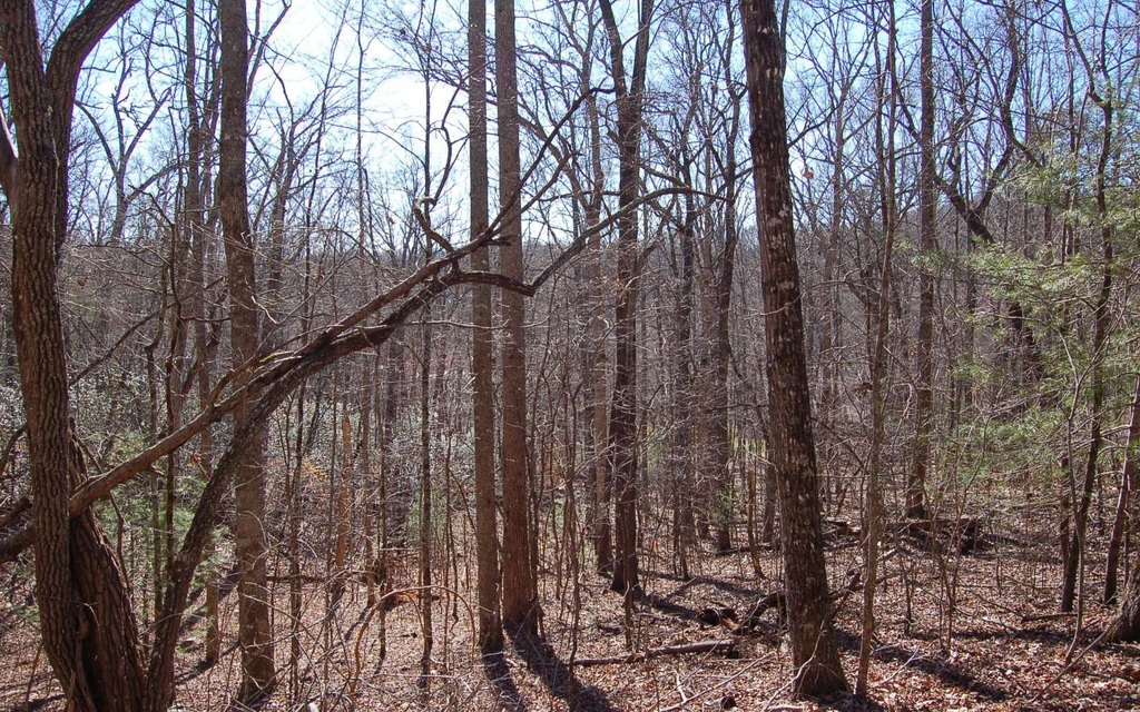 Picture 18