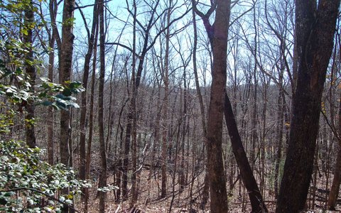 Hayesville, NC Lake Access Lot