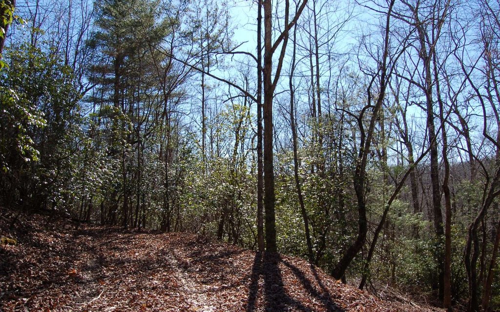 Picture 2