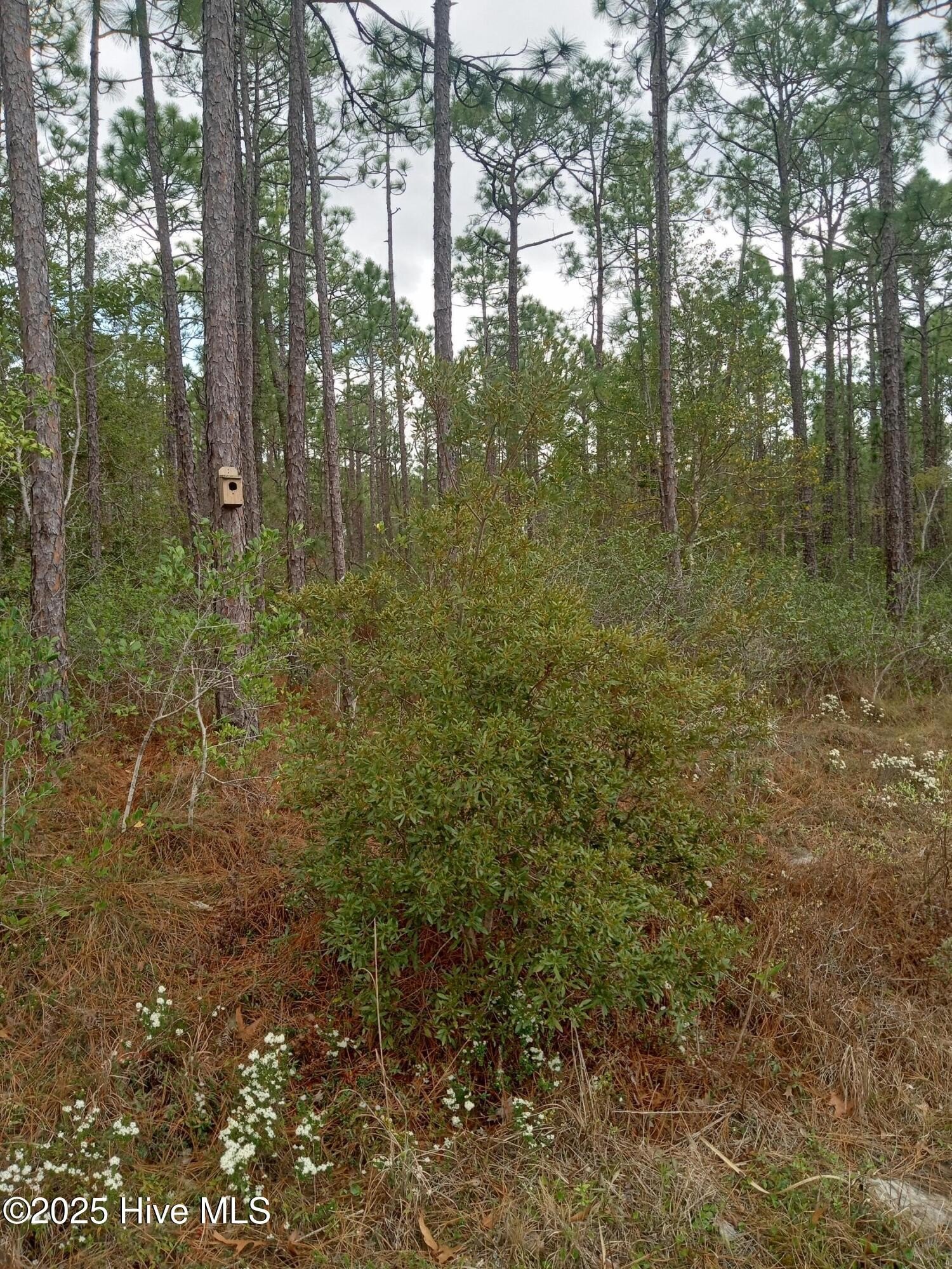 Southport, NC Land For Sale