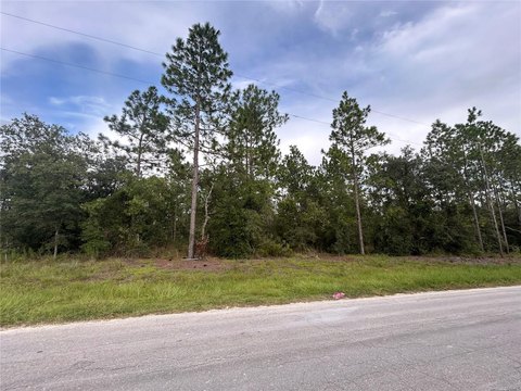 Land, WILLISTON, FL