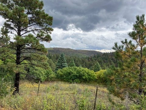 LAND - Holman, NM