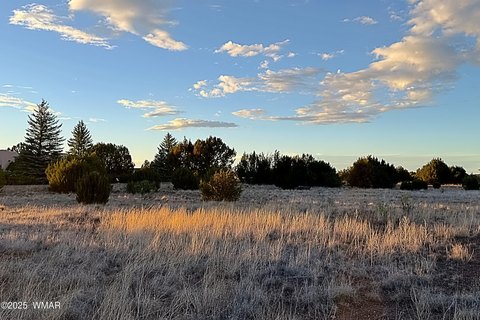 Residential Land in Show Low