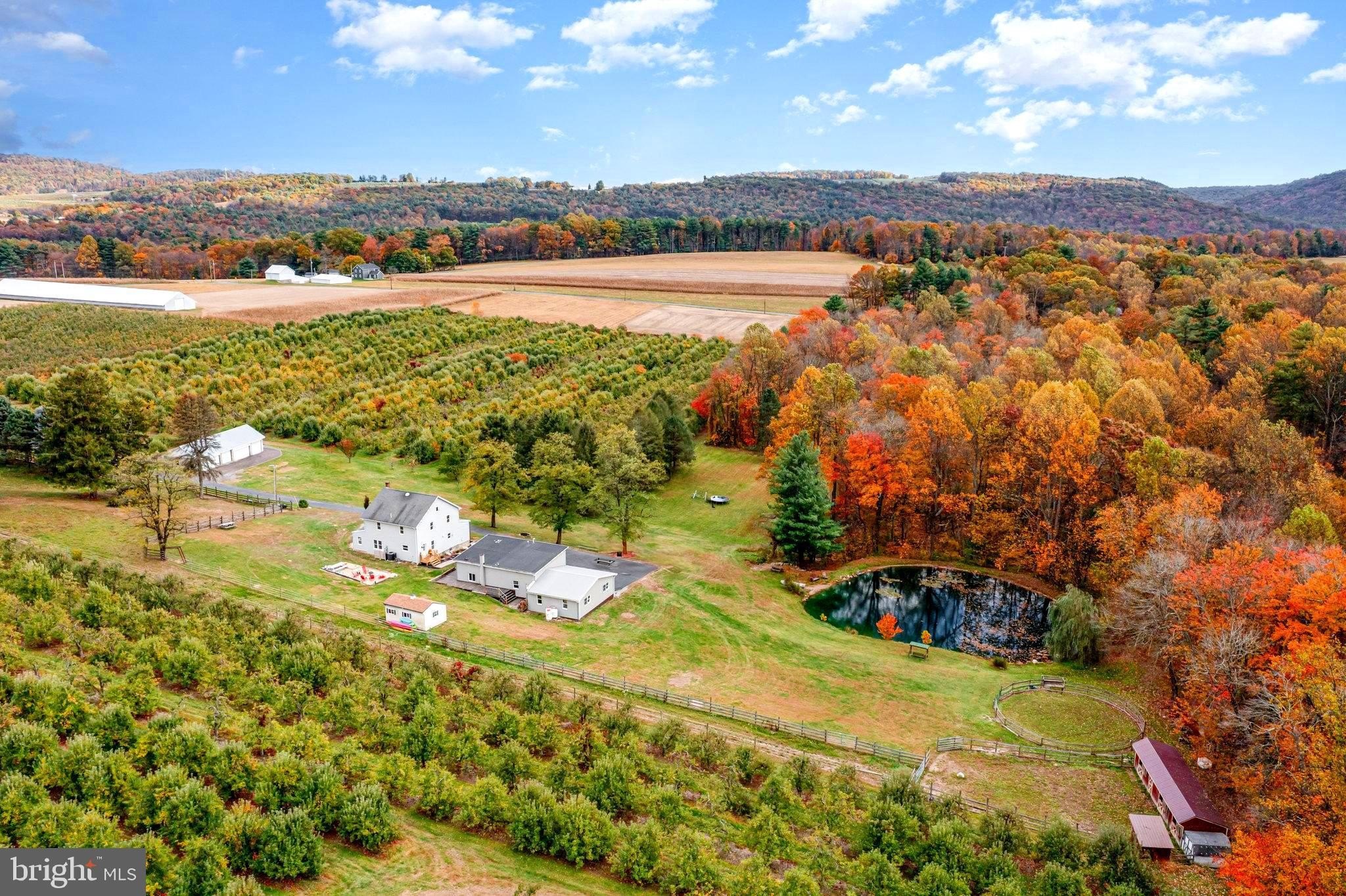 Biglerville Estate with Orchard Views