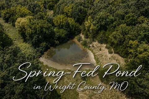 LAND - Hartville, MO