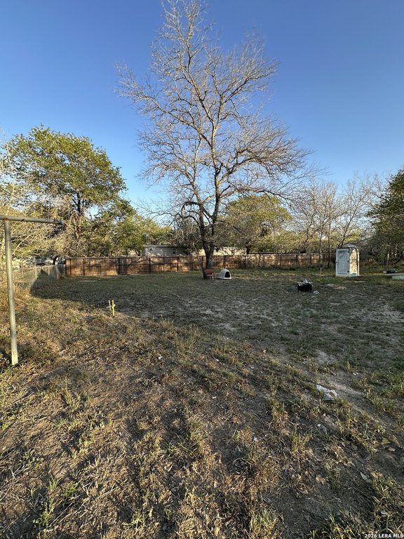 Picture 7