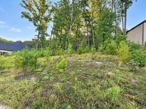 Vacant Land, Little Rock, AR