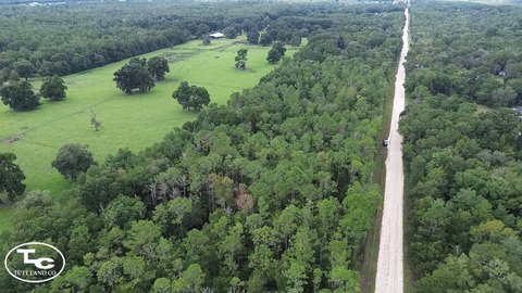 Land, Williston, FL
