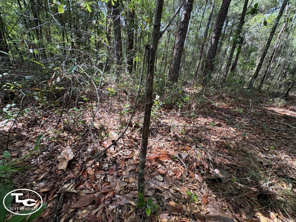 Picture 30