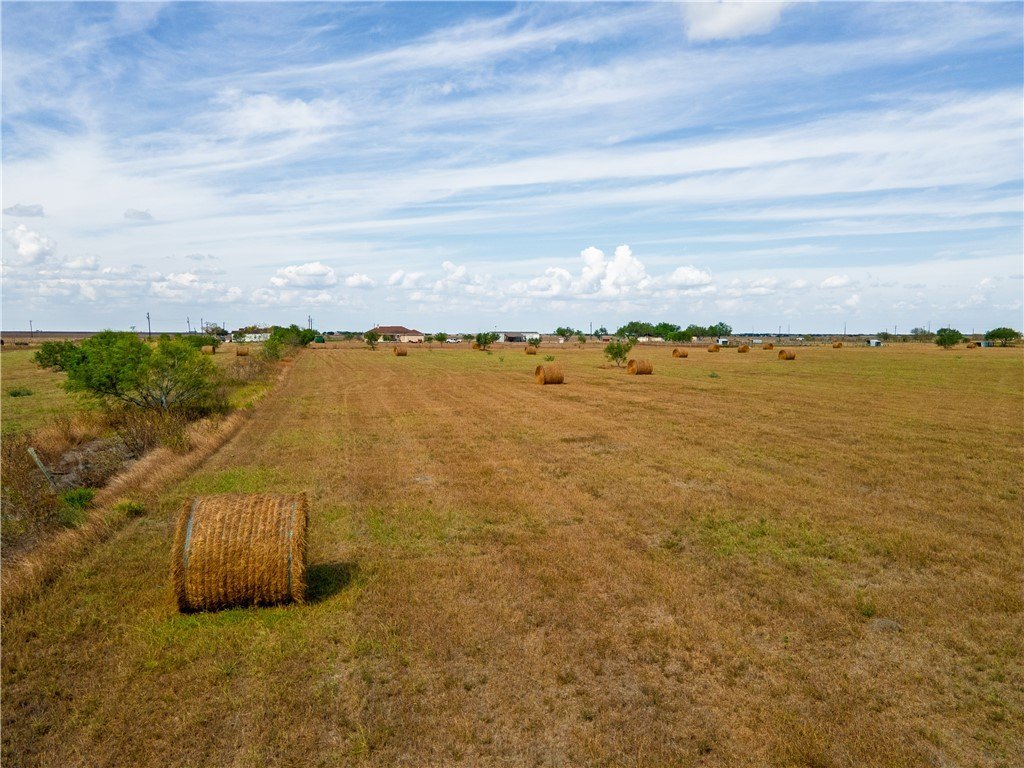 Picture 32