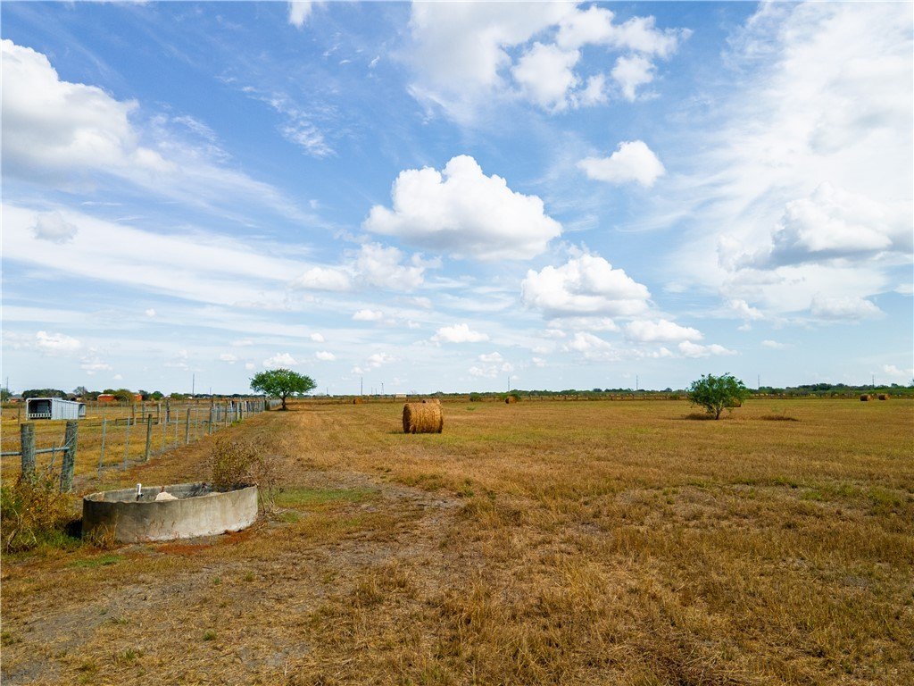Picture 37