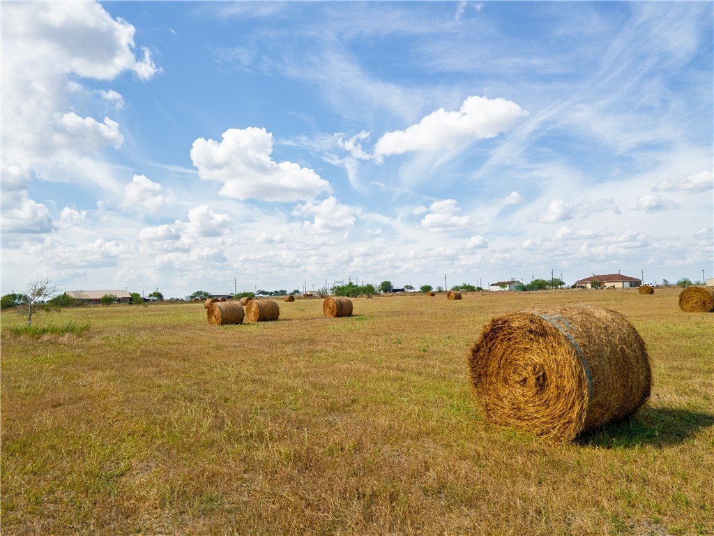 Picture 23
