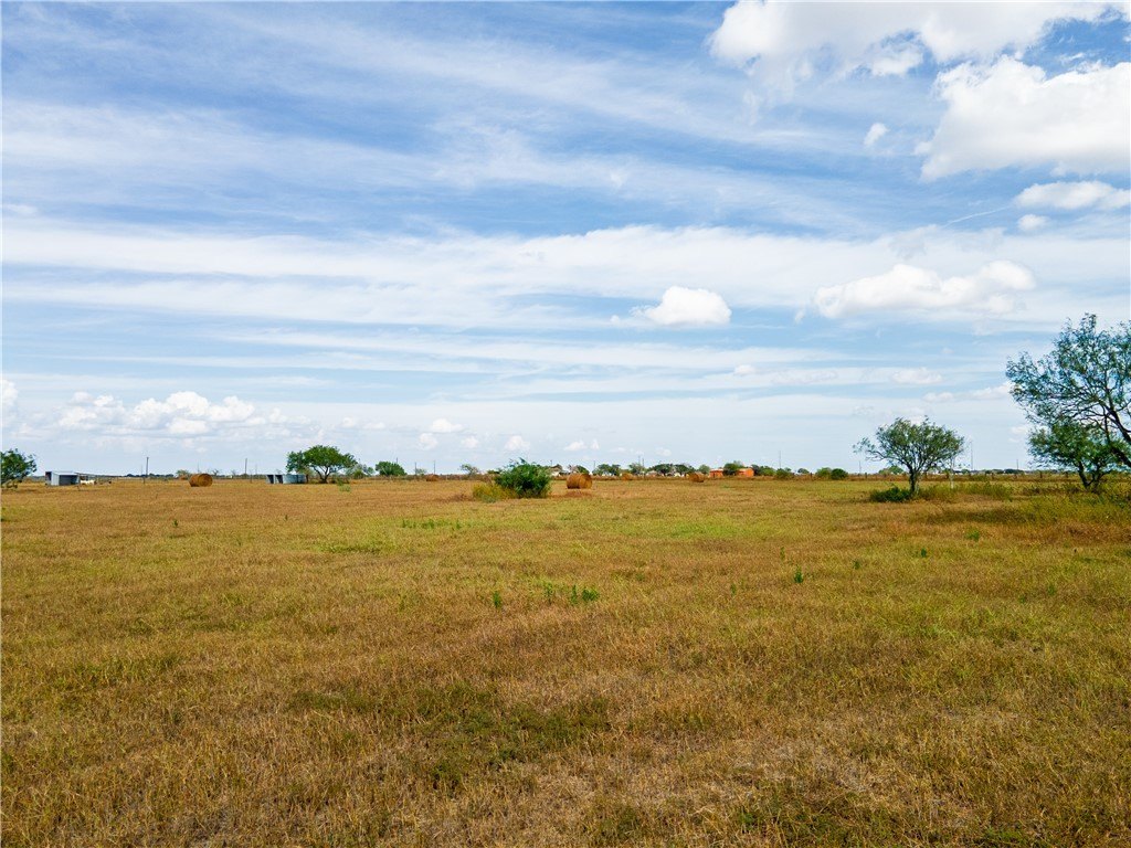 Picture 25