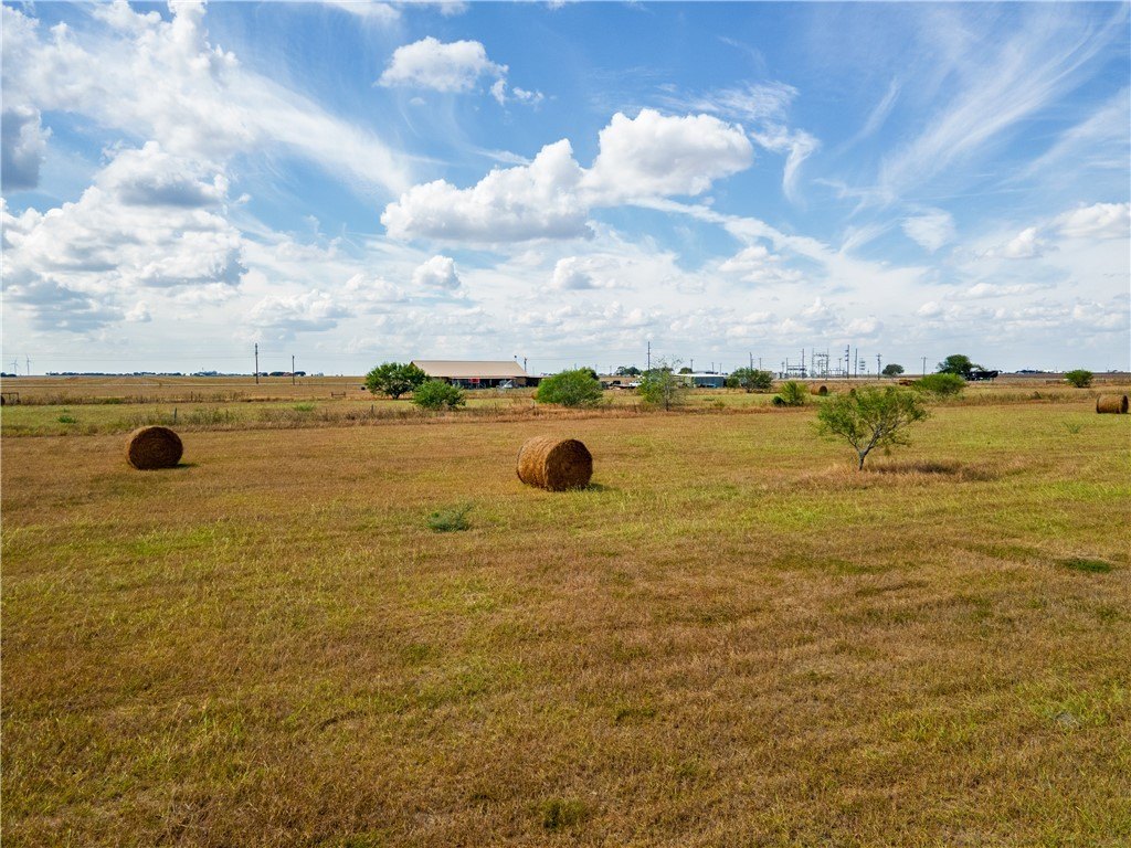 Picture 31