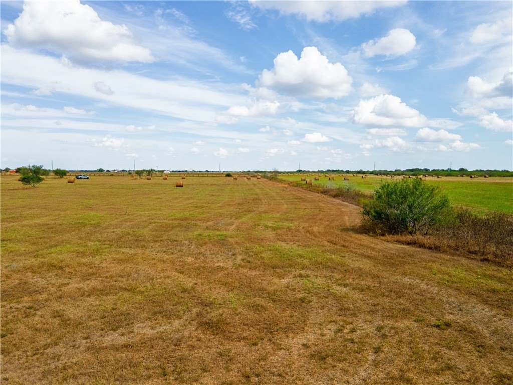 Picture 33