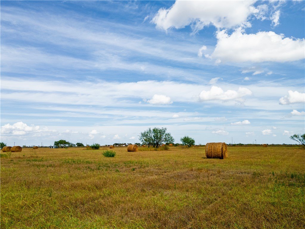 Picture 30