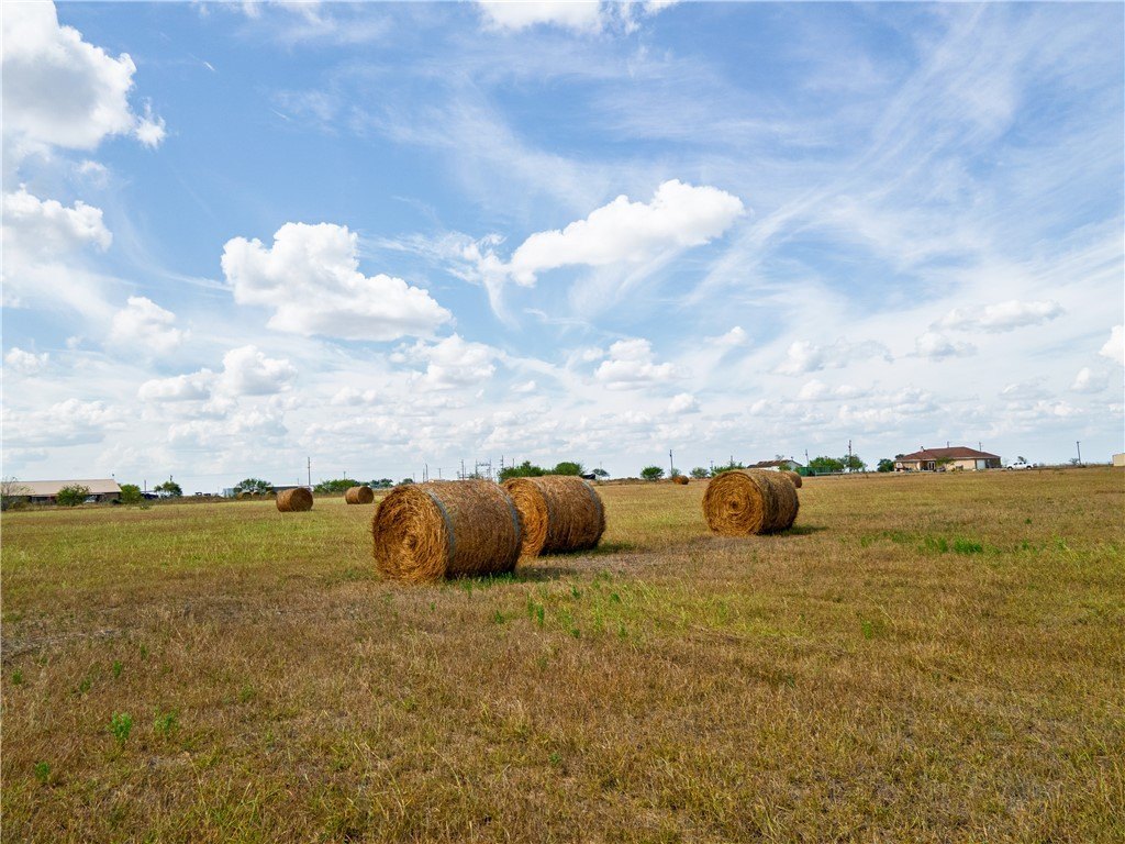 Picture 24
