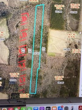 Wooded Land Tract