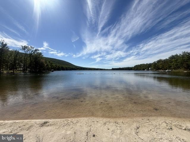 Picture 3
