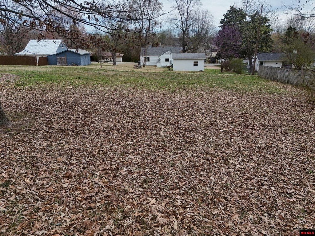 Picture 4