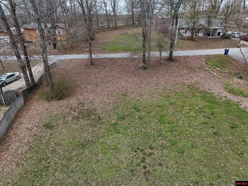 Picture 3