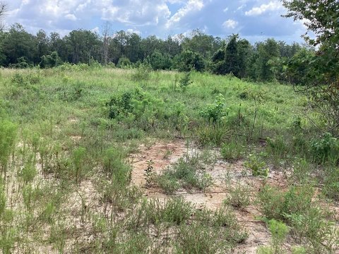 27 Acres of Open Land