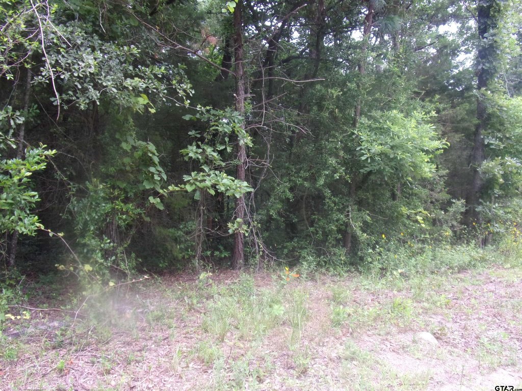 Picture 5