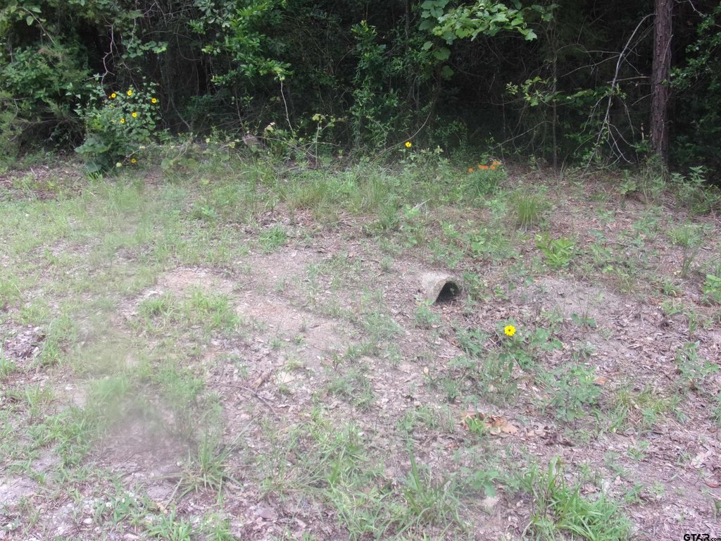 Picture 2