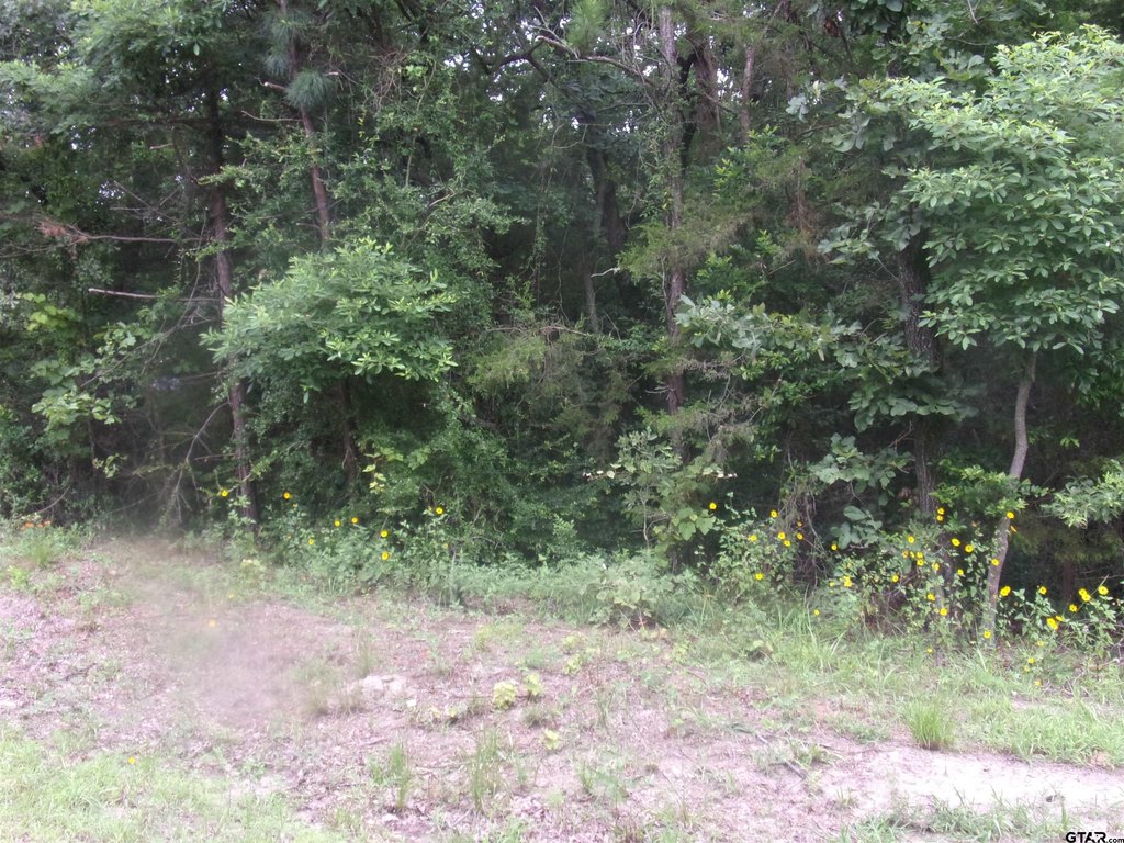 Picture 7