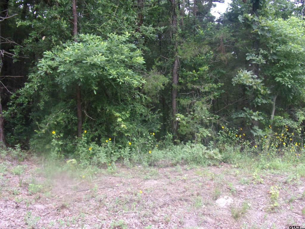 Picture 4