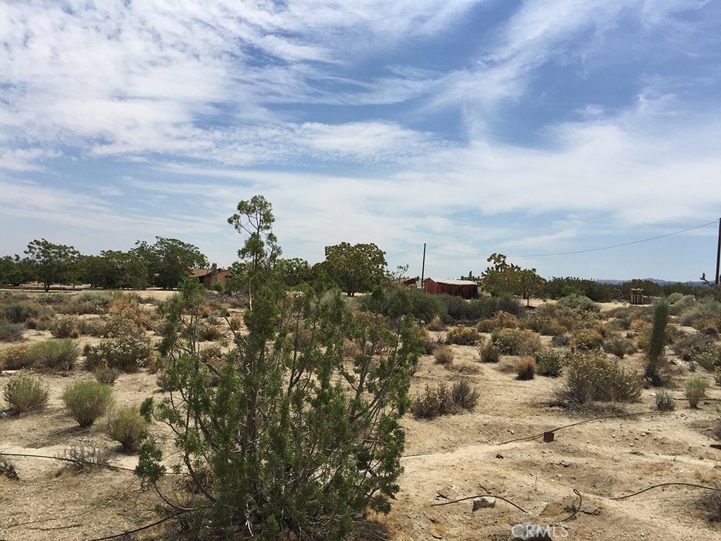 Picture 10