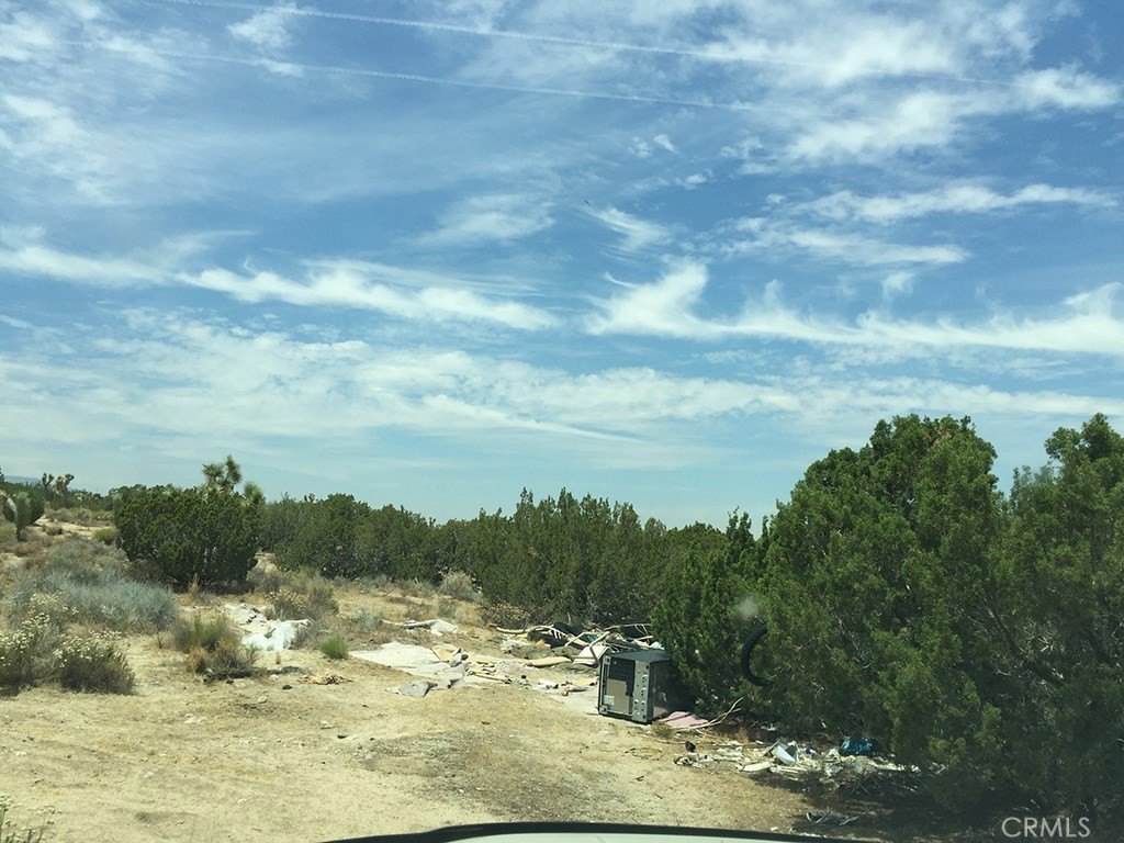 Picture 14