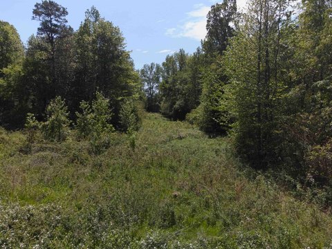 Vacant Land, Rose Bud, AR