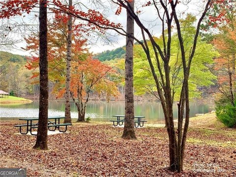 Land in Talking Rock Creek